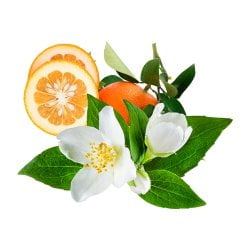 citrus and flower Luxury Eau de Parfum