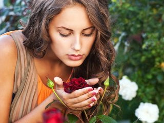 Scents Affect Scents Affect