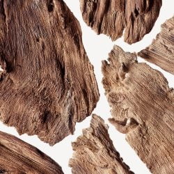 woody Luxury Eau de Parfum