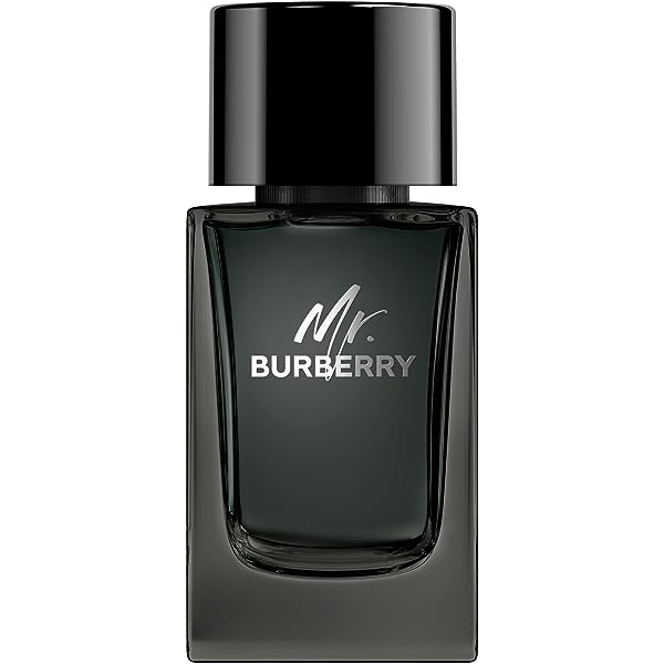 best burberry cologne