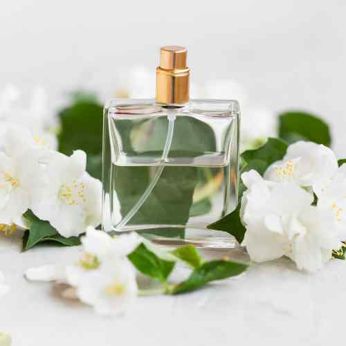 Best Jasmine Perfumes