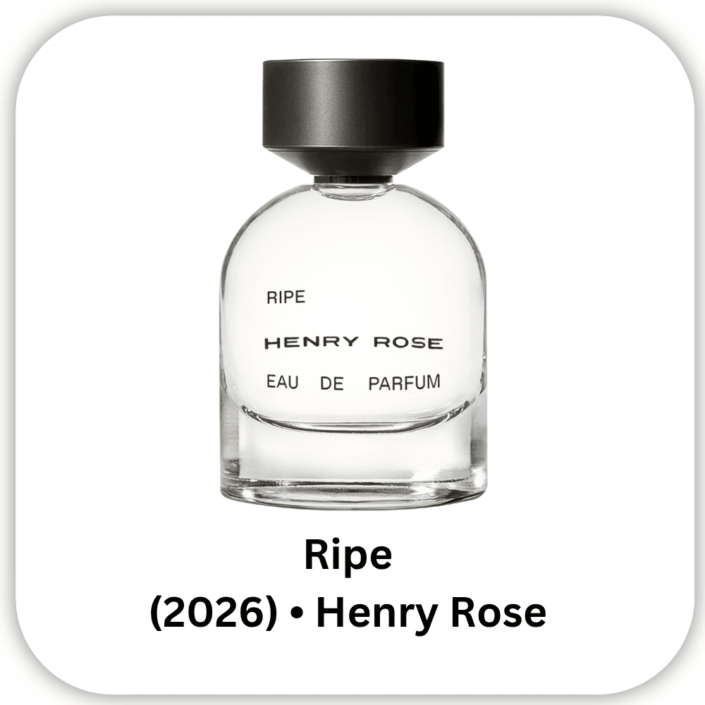 Ripe Henry Rose