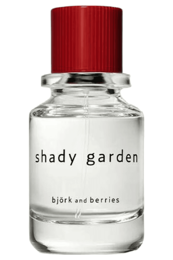 Shady Garden Bjork and Berries