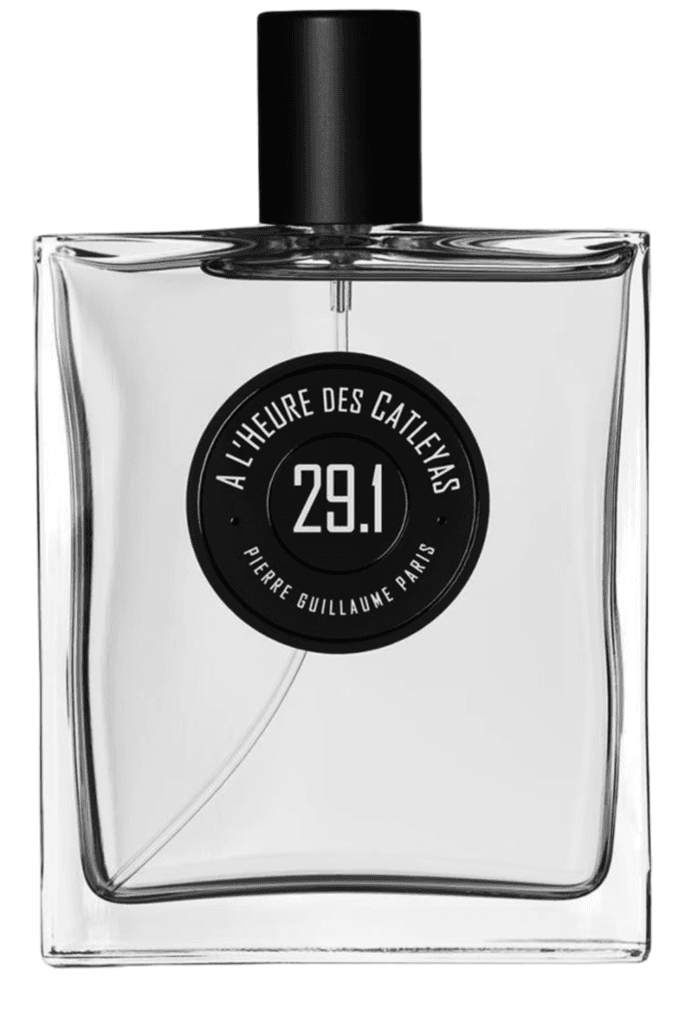 À l’heure des Catleyas 29.1 Pierre Guillaume Paris