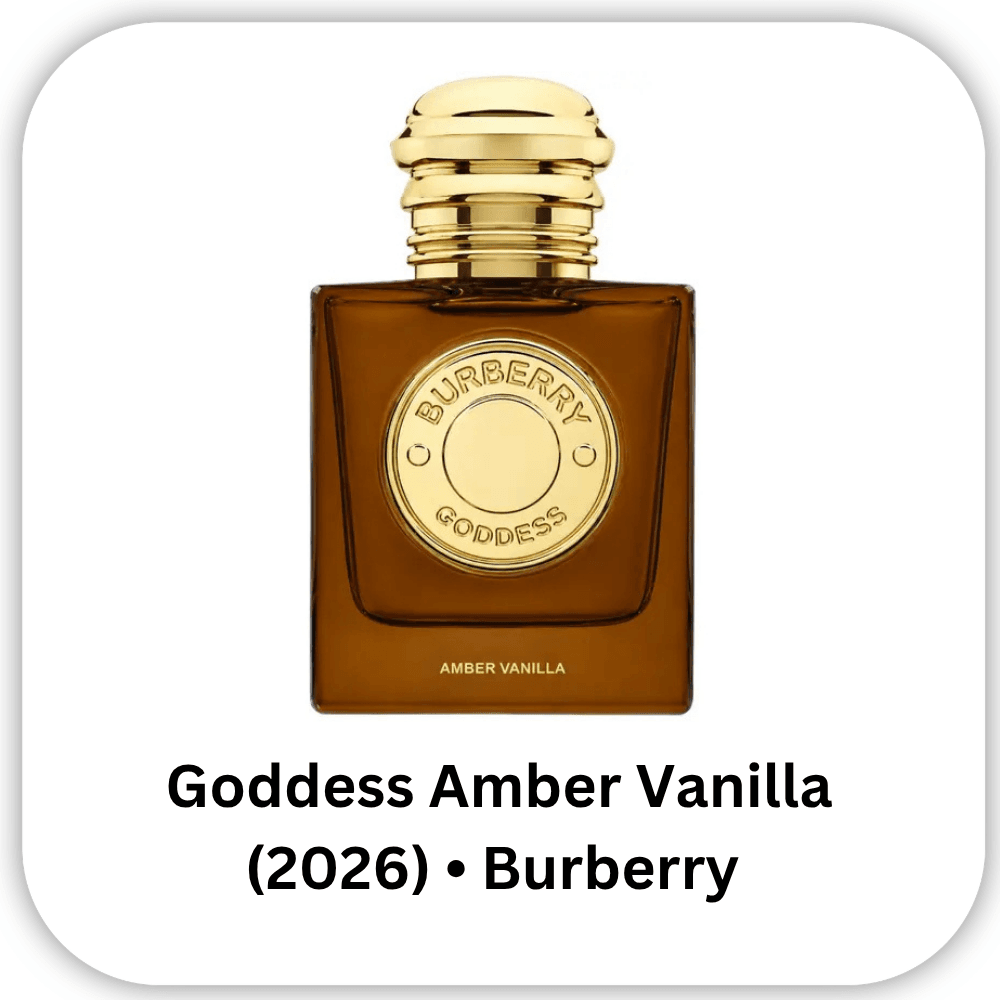 Challengers Moth and Rabbit Perfumes