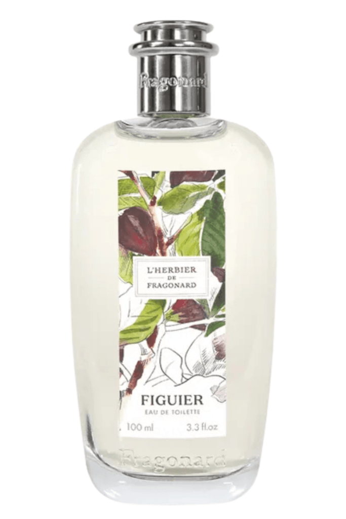 Figuier Fragonard