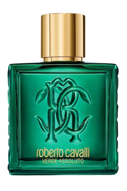 Uomo Verde Assoluto Roberto Cavalli