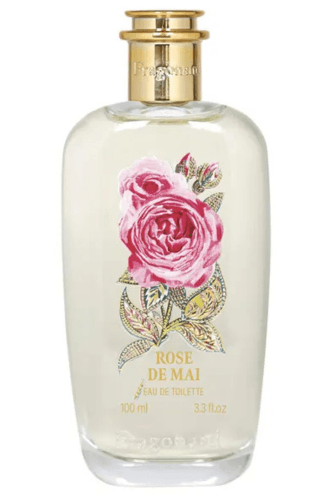 Rose de Mai Fragonard