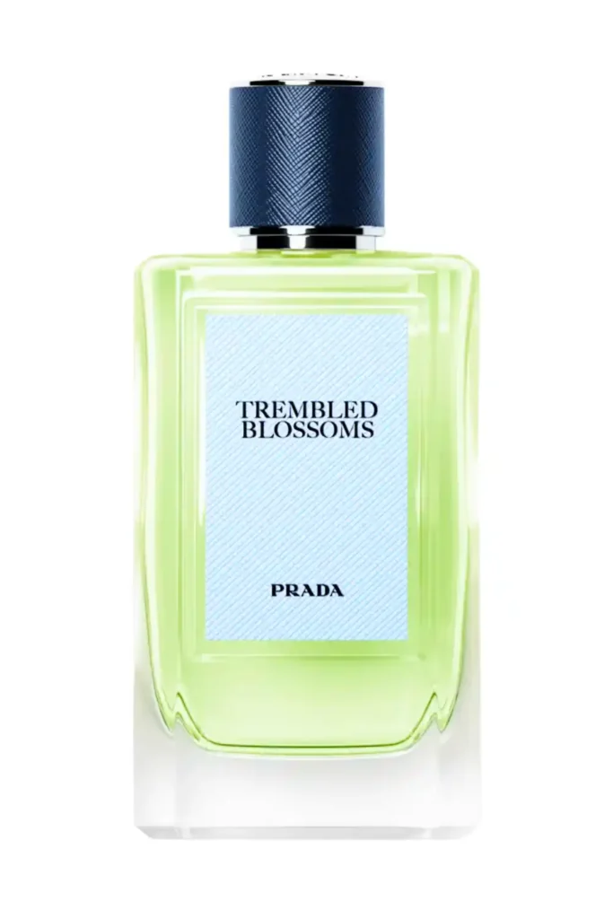 Trembled Blossoms Prada
