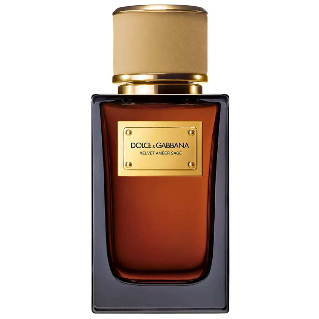 Amber Velvet Sage Dolce & Gabbana